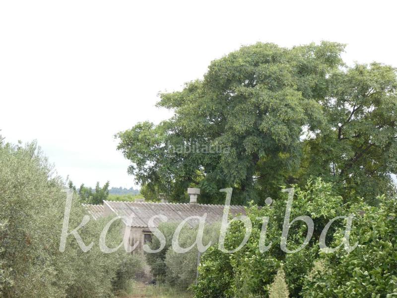 Foto 33048291-9d38-4e3e-ab25-a76de411d23d. Finca rústica finca rustica en venta en Pedralba