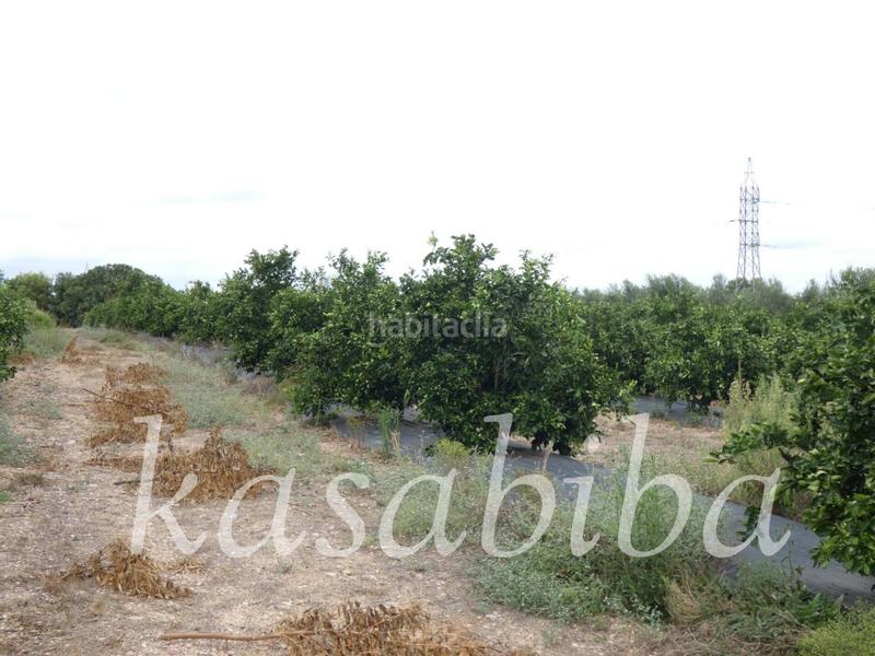 Foto 35828d76-ed6f-49d9-9019-31beae0bab8d. Finca rústica finca rustica en venta en Pedralba