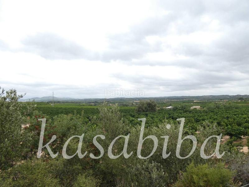 Foto 36449bae-9570-4005-b6f7-f17a2ff9ce35. Finca rústica finca rustica en venta en Pedralba