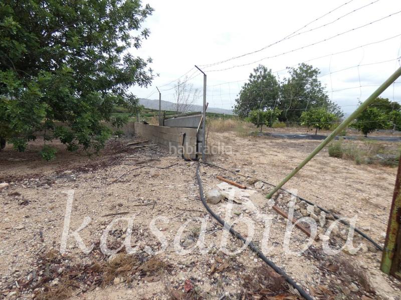 Foto 4c031ade-45bc-4b21-b010-48554d779921. Finca rústica finca rustica en venta en Pedralba