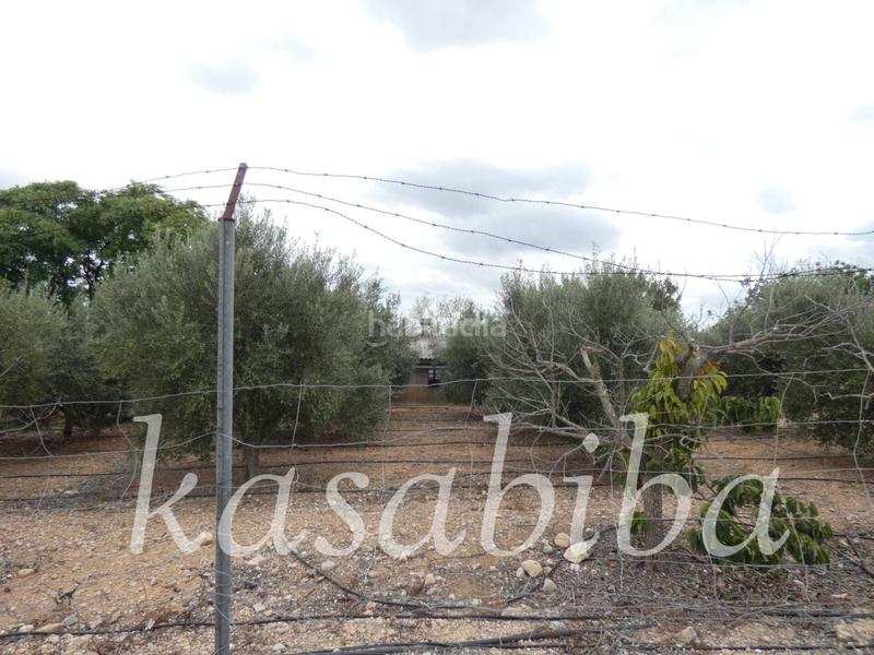 Foto 5cb190e1-8413-44b0-b4d3-a78a7bd7567c. Finca rústica finca rustica en venta en Pedralba