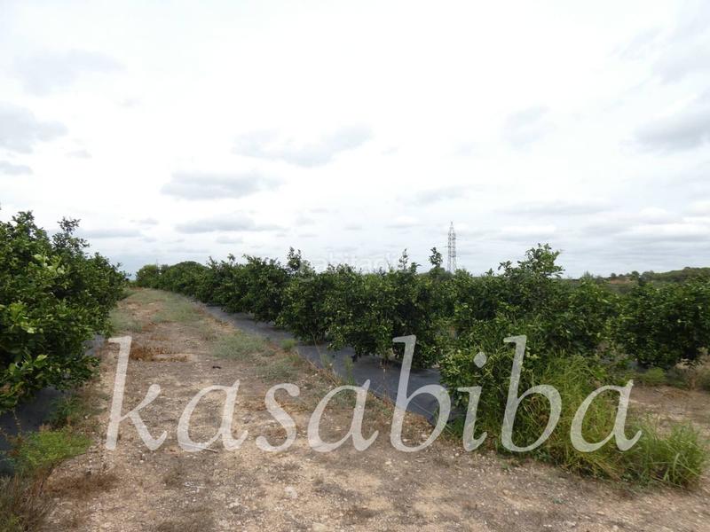 Foto 67e190ee-b032-4e22-a8fe-3f66fb743d6d. Finca rústica finca rustica en venta en Pedralba