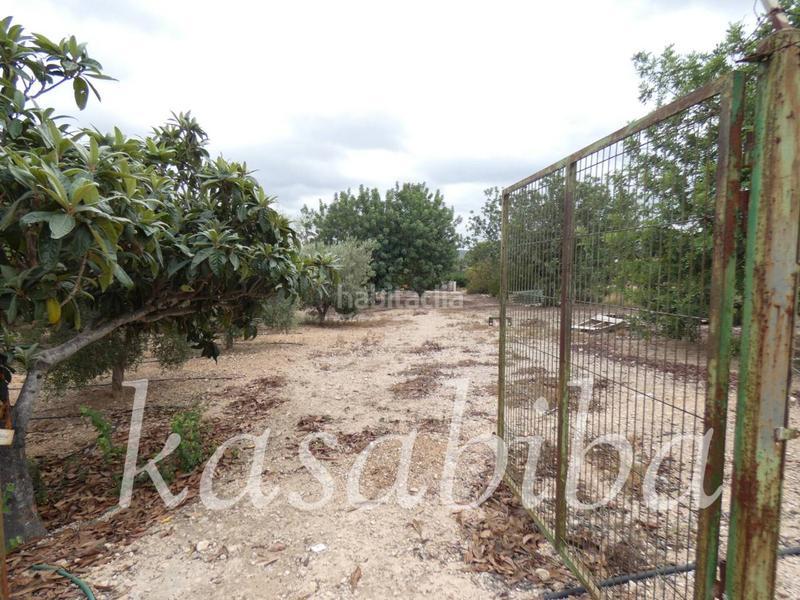Foto 68a32ce4-4600-4959-abb3-cc29ed7cc93c. Finca rústica finca rustica en venta en Pedralba