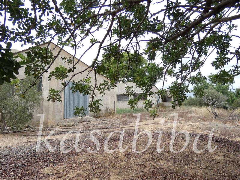 Foto 751e09f5-ec54-4d92-affe-9359aaa77ba7. Finca rústica finca rustica en venta en Pedralba