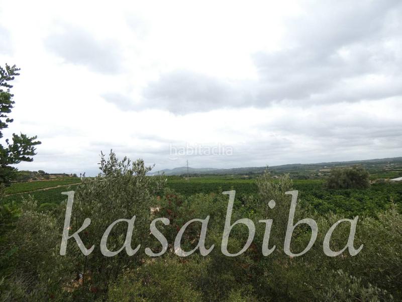 Foto 8fe599d5-1414-4f88-9aa1-bead483fc534. Finca rústica finca rustica en venta en Pedralba