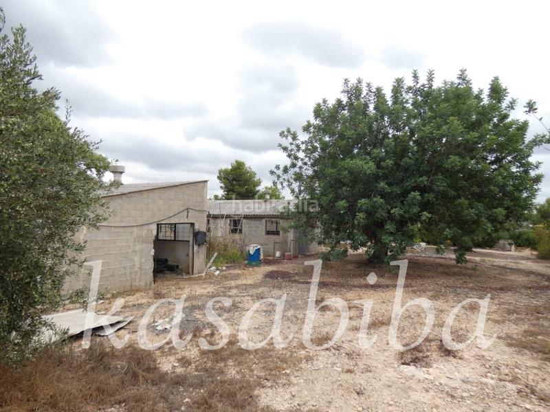 Foto 9f5a5cae-3b70-4f63-b5d9-8ed79446b1c2. Finca rústica finca rustica en venta en Pedralba