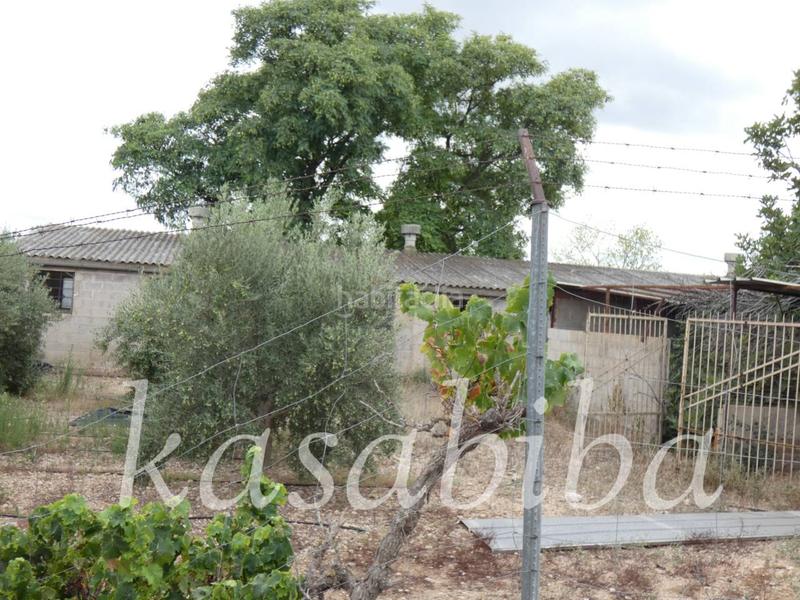 Foto b1860f96-29b1-44bc-bf8c-0b462b5de0f9. Finca rústica finca rustica en venta en Pedralba