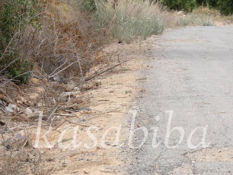 Foto beaeb404-e572-4c5d-b782-2a0cba4ce106. Finca rústica finca rustica en venta en Pedralba