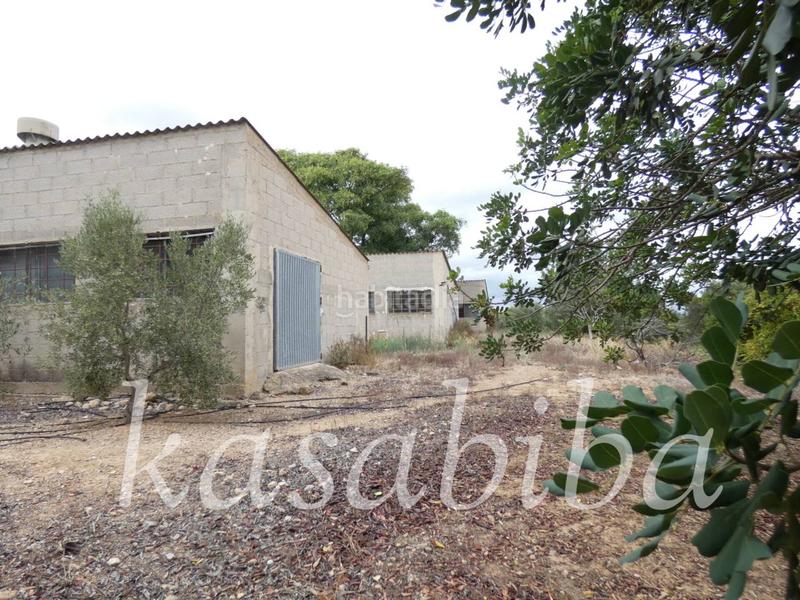 Foto d06e31f7-4ba6-4eea-a2b8-51fa960eb3ef. Finca rústica finca rustica en venta en Pedralba