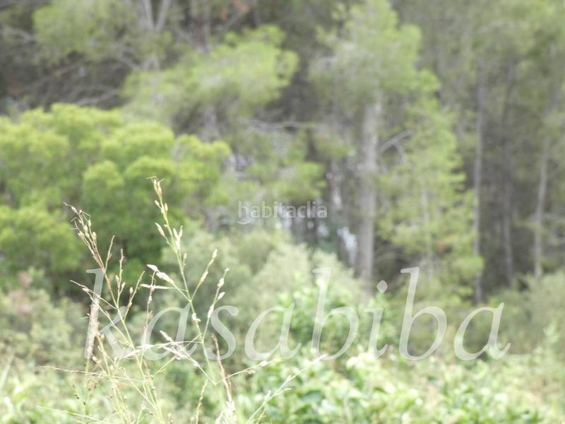 Foto d3ebc5e9-41da-4085-9883-a5472dce3f8c. Finca rústica finca rustica en venta en Pedralba