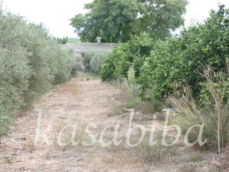 Foto dda33e29-1720-4357-9849-0ec66c4b26af. Finca rústica finca rustica en venta en Pedralba