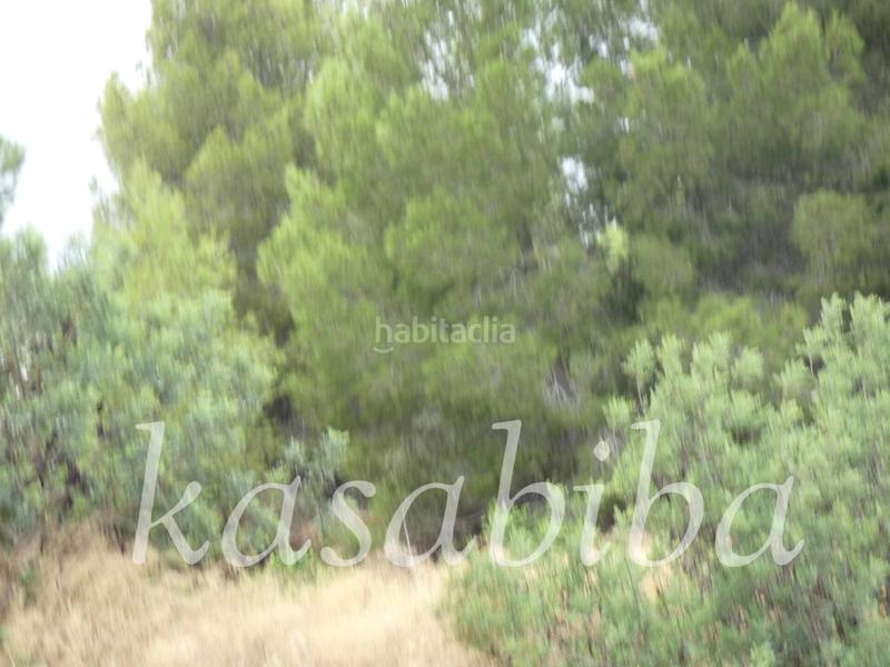 Foto df112a1d-e8c4-4325-9ada-0472c377aafd. Finca rústica finca rustica en venta en Pedralba