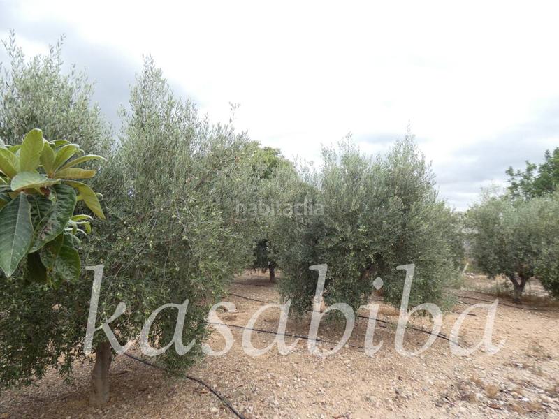 Foto e125d10c-2633-4e79-a719-cd1bacf17322. Finca rústica finca rustica en venta en Pedralba