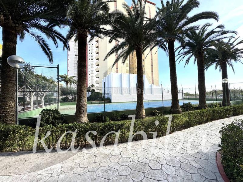 Foto 417f6576-e36f-488e-83f6-7756cbcf1e56. Pis a Platja de la Pobla de Farnals Pobla de Farnals (la)