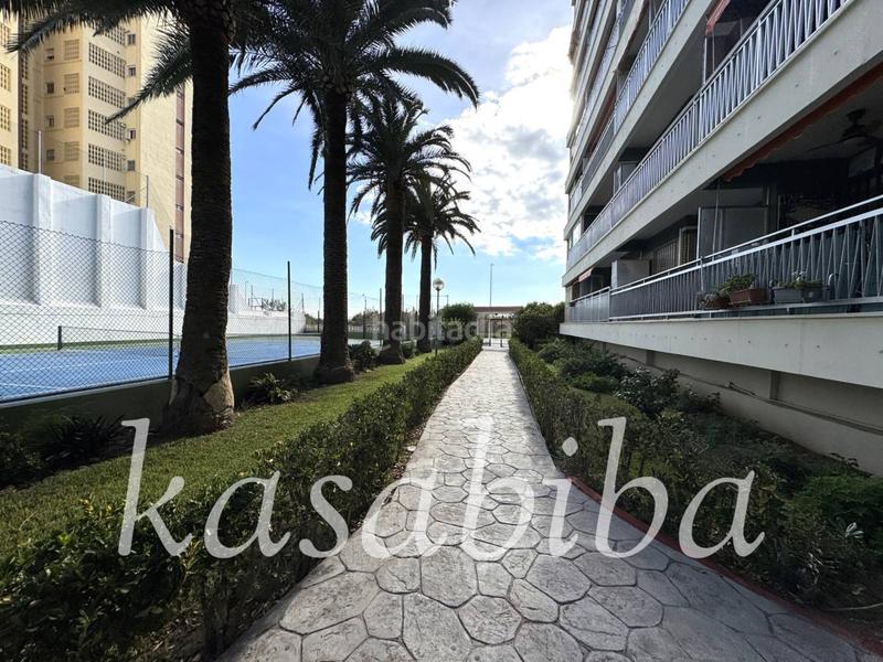 Foto 5dd51bef-cfb1-484e-a146-01a888cd2cd7. Pis a Platja de la Pobla de Farnals Pobla de Farnals (la)