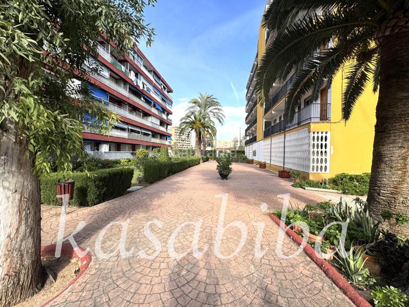 Foto 6a7c816e-5756-4ff6-b522-87c21feb95cb. Pis a Platja de la Pobla de Farnals Pobla de Farnals (la)