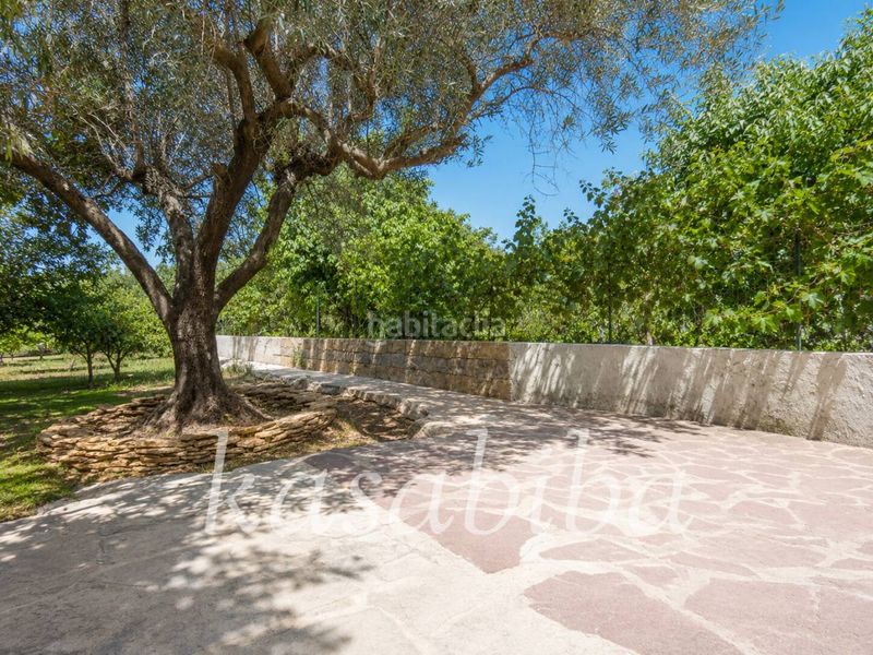 Foto b6974d4d-6e67-42ff-a4ad-4e4e4d37c9be. Xalet amb calefacció aparcament piscina a Albalat dels Tarongers