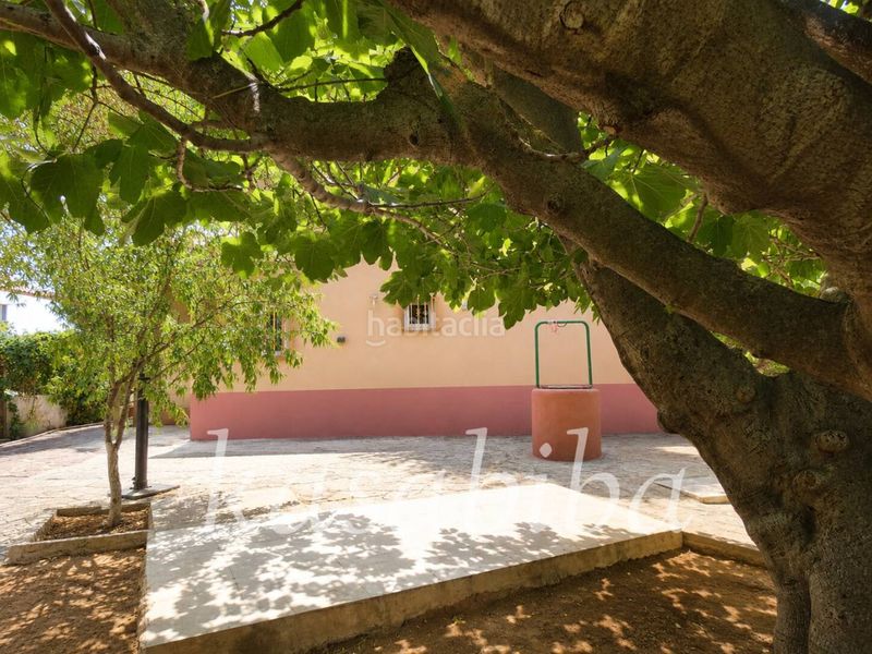 Foto d9ec0987-df22-4d57-b1b6-246833587646. Xalet amb calefacció aparcament piscina a Albalat dels Tarongers