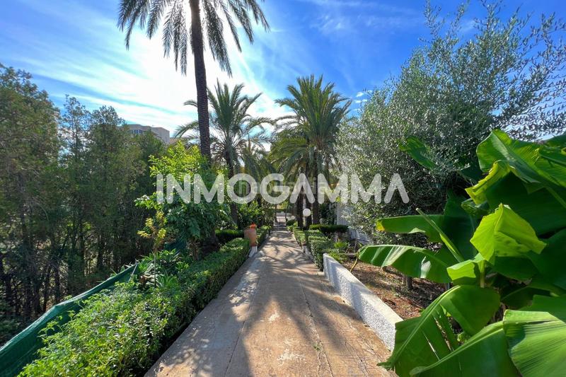 Foto 6b97323d-273c-4630-aabe-f05046a02f60. Chalet  en venta en Racó, 4 dormitorios. en Cullera