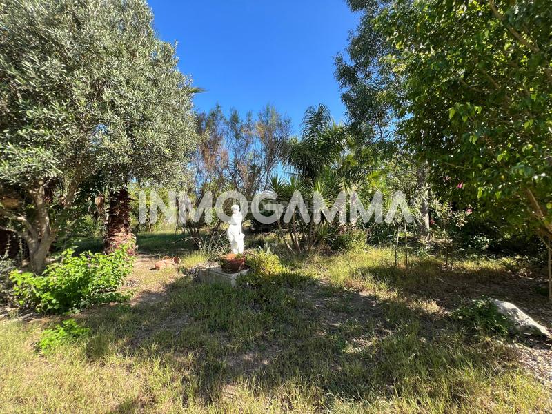 Foto c81b7b43-b124-4cde-bbd1-fb6af679716b. Casale in Mareny Blau Sueca