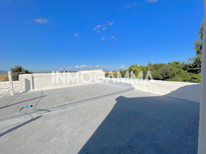 Foto ff13184c-a890-4bbe-bb8e-d534f3fe5cbc. Casale in Mareny Blau Sueca