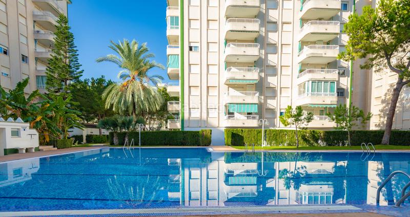 Foto 6f09227f-27c1-4d67-9fc4-87daeddd92ef. Appartement dans Gandia - cl clot de la mota del 29 dans Gandia