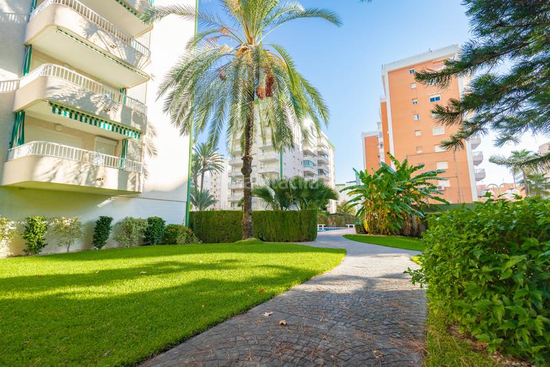 Foto eaed43cd-7bfc-4e38-8bf8-c8fd1239075c. Appartement dans Gandia - cl clot de la mota del 29 dans Gandia