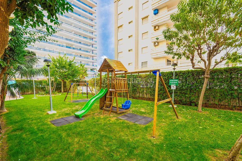 Foto c11b0bf3-40a1-41e1-ab89-dea04ff96905. Àtic a Gandia - carrer comtat 74 a Playa de Gandía Gandia