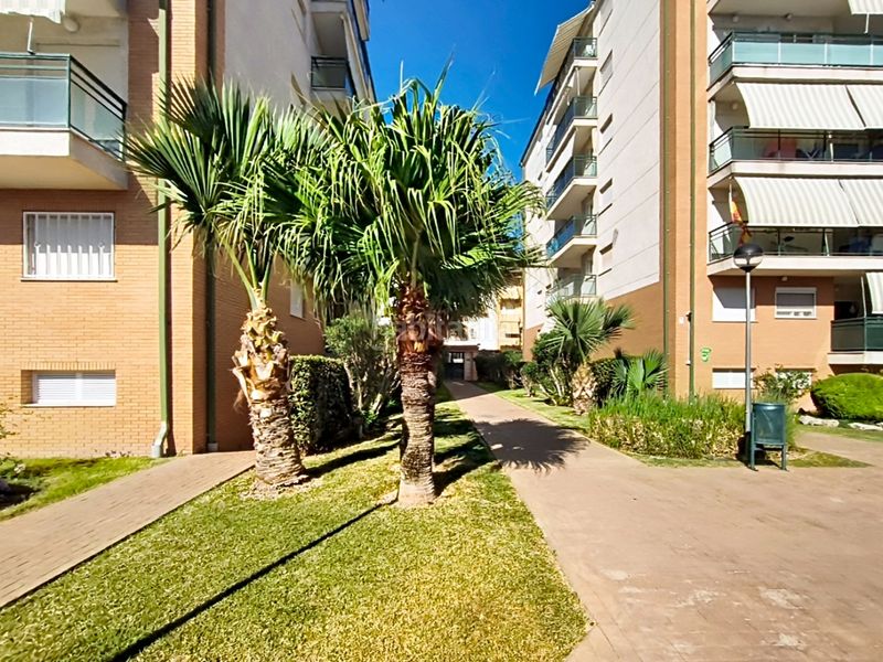 Pis a Gandia - cl oltra 17 a Playa de Gandía Gandia