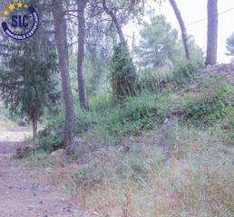 Terreno residencial en Calle torrente 17