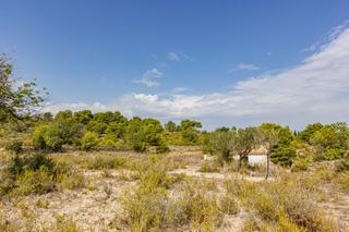 Finca rústica a Polígono poligono 28 parcela 12 28. Terreno en venta en montserrat