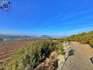 Terreny residencial a Barxeta. Bienvenido al paraíso rural en barxeta, valencia! parcela rústic
