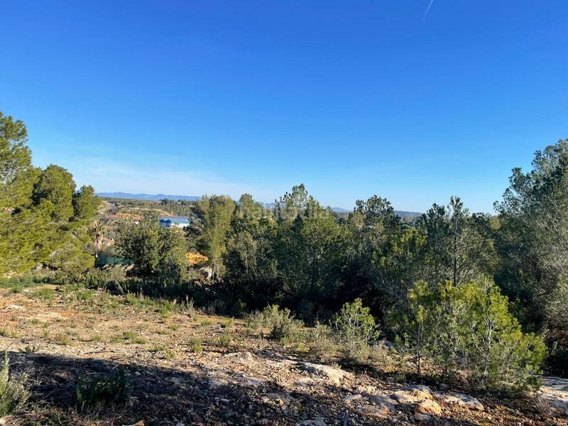 Foto 3839f274-7803-40a7-a5ef-6e44c18ad115. Terrain résidentiel dans Godelleta