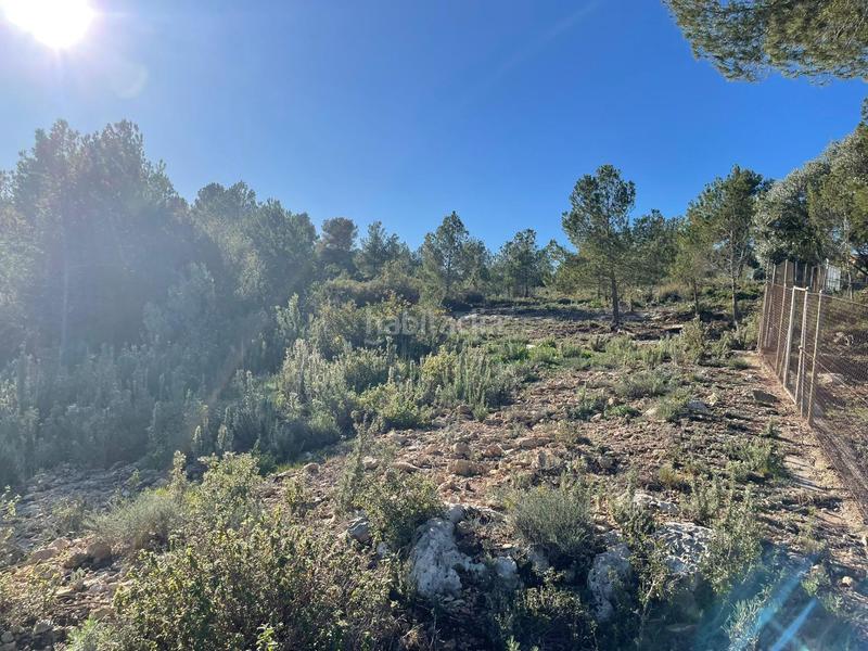 Foto 62ead410-f02a-46c4-b390-362d3f7a8dff. Terrain résidentiel dans Godelleta