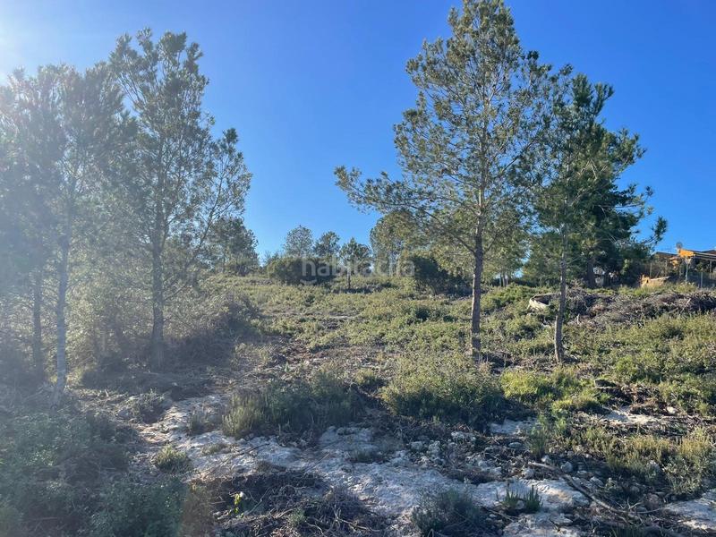 Foto 8639c645-6d7d-423b-baba-ac7574118499. Terrain résidentiel dans Godelleta