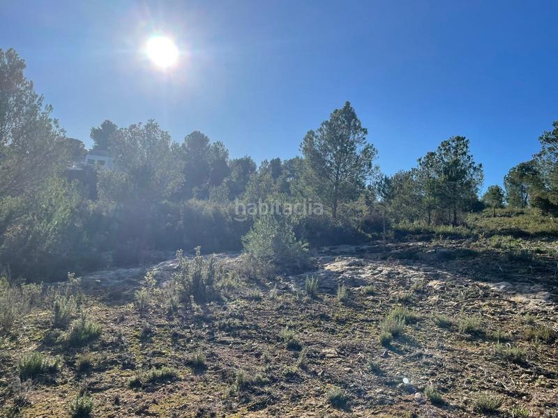 Foto bff1375b-c3a8-4336-9d2d-dd9614e0363b. Terrain résidentiel dans Godelleta