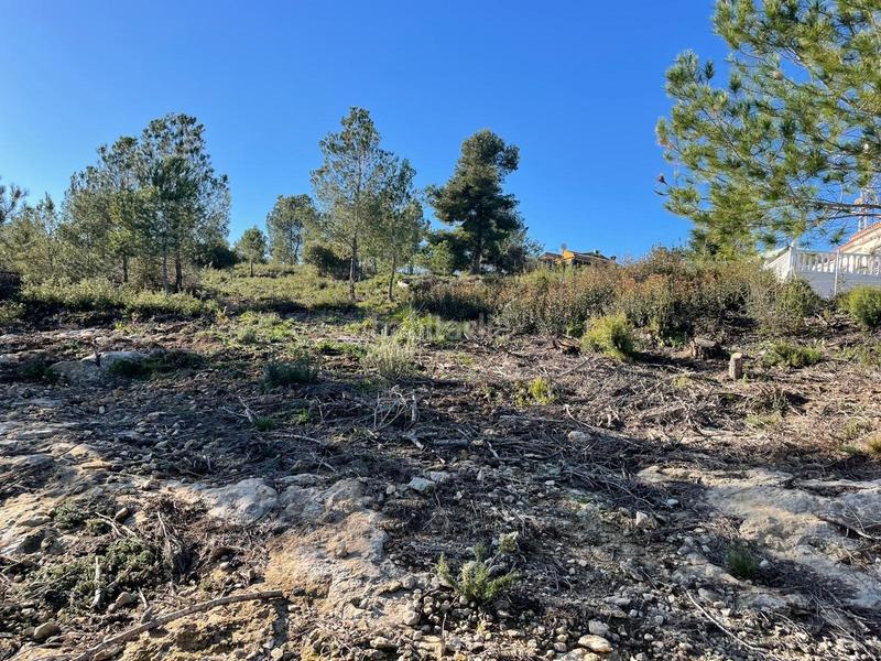 Foto d5252a49-0e14-405d-bac2-fefed7d81082. Terrain résidentiel dans Godelleta