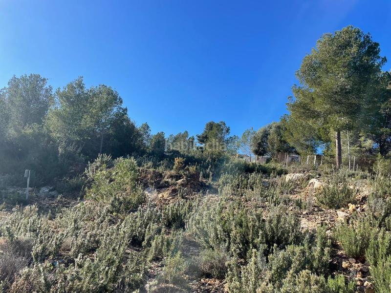 Foto d9f63045-899d-4214-954a-538820aedf3b. Terrain résidentiel dans Godelleta