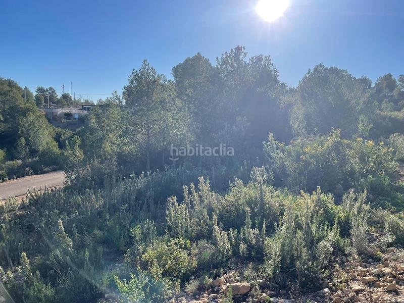 Foto ebc180b2-744d-48b3-b715-2ac522bfcdc5. Terrain résidentiel dans Godelleta