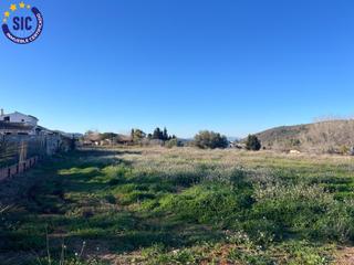 Terreny residencial a Barxeta. Oportunidad única! parcela rústica en barxeta valencia