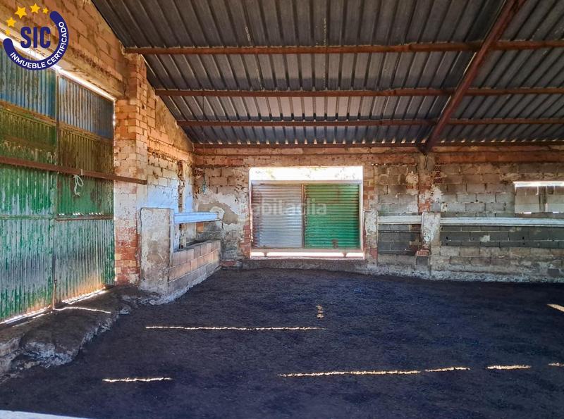 Foto a0b1d7f4-a08d-4d49-ade2-8ab57a9a1879. Rural plot in Talayuelas