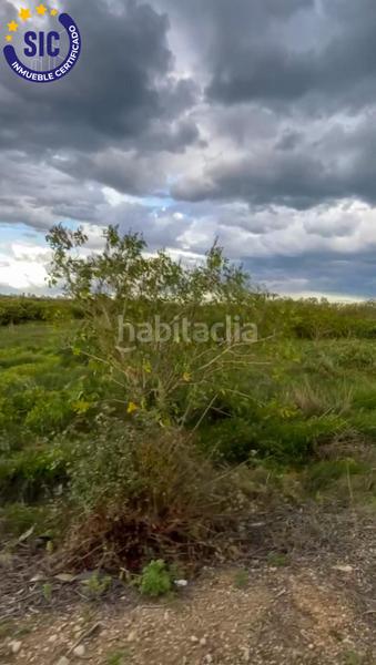 Foto b680af78-99b9-4d51-9c35-ca72fd2fdba9. Finca rústica en Tavernes de la Valldigna