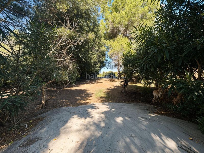 Foto 294f03c8-d371-45fe-a0f4-fea249c473b7. Masia amb aparcament piscina a Carcaixent