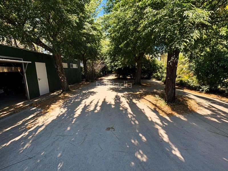 Foto 6e7a3d53-895a-4987-ba99-77cd1625fc7d. Masia amb aparcament piscina a Carcaixent