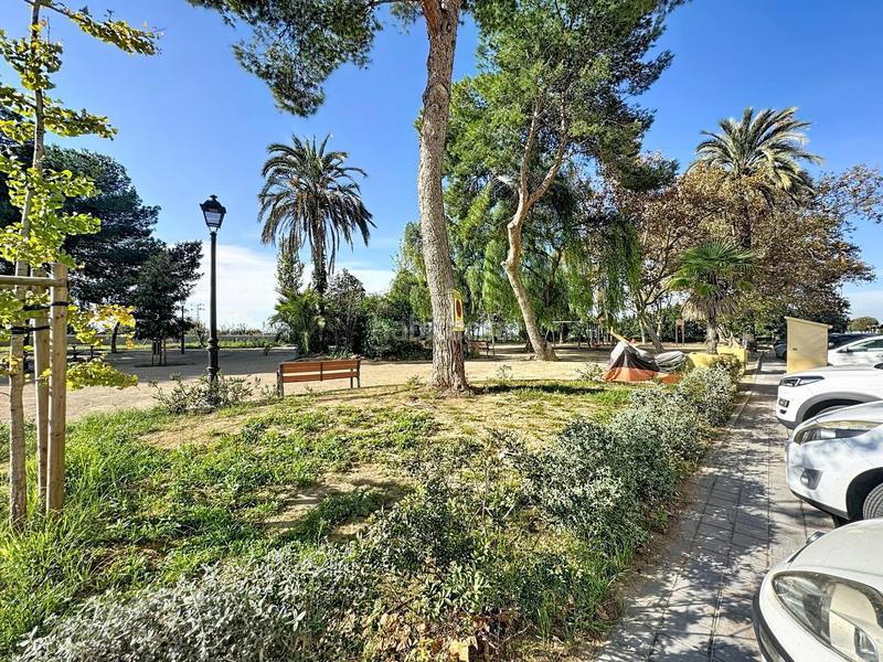 Foto 72ee2828-451a-4448-ba44-14b68f5bde94. Pis a El Saler Valencia