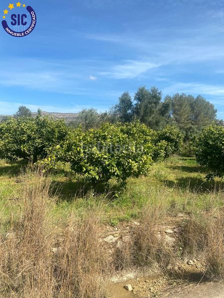 Foto 56f1423e-e210-421d-8944-a94d03ba1b92. Finca rústica a Quatretonda