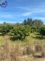 Fondo rustico  Partida rebols. Terreno rústico en venta en quatretonda valencia