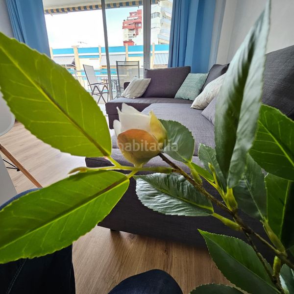 Foto 9fffb44c-0ba7-447f-806e-9ba9f4dfbb14. Rent flat with heating in Playa de Gandía Gandia