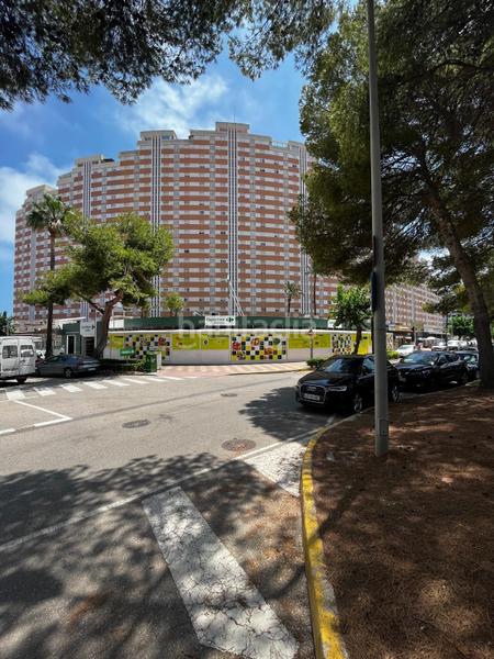 Foto 8ee82427-2e09-4f59-b324-e78eeab7eea6. Local comercial a Sant Antoni Cullera