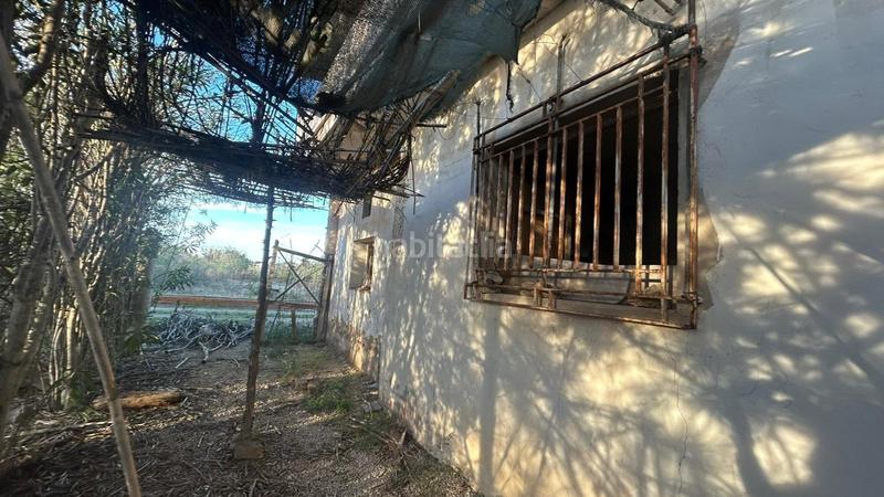 Foto 4160ba50-df7f-4d1e-9f3b-ef3223ba89b2. Casale in El Dossel - Mareny de San Lorenzo Cullera